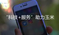 “科技+服务”助力玉米、极地寒稻获丰收