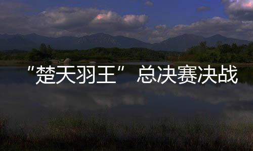 “楚天羽王”总决赛决战咸宁,湖北顶尖羽毛球俱乐部竞逐羽球之巅