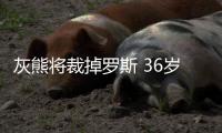灰熊将裁掉罗斯 36岁的他过去三年合计打77场