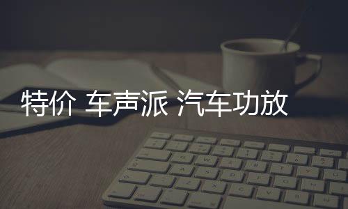 特价 车声派 汽车功放汽车音响大功率2声道二路车载低音炮功放机