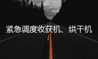 紧急调度收获机、烘干机 黄淮海地区抢抓降雨间歇期 抢收抢烘
