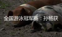 全国游泳冠军赛：孙杨获首金 比赛时间将持续到3月31日
