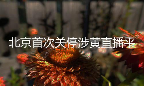 北京首次关停涉黄直播平台