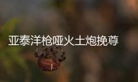 亚泰洋枪哑火土炮挽尊 谢晖变阵无果 外援需尽快突破