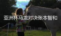 亚洲杯马龙对决张本智和比赛全程回顾 3