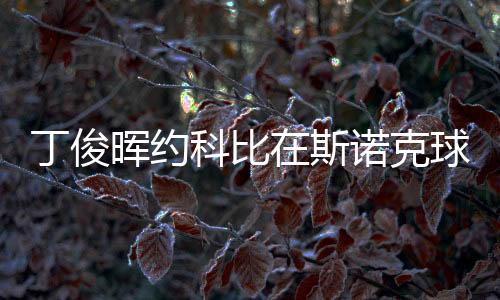 丁俊晖约科比在斯诺克球台上单挑 丁俊晖篮球打得如何