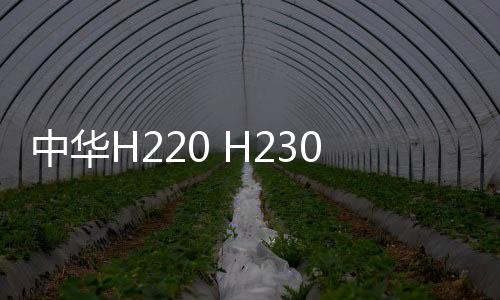 中华H220 H230专用中控仪表台避光垫汽车装饰改装配件防晒遮光垫