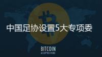 中国足协设置5大专项委员会：沈祥福孙葆洁等任主任