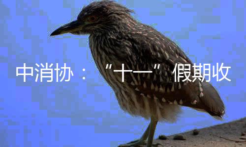 中消协:“十一”假期收到消费维权相关信息超2000万条