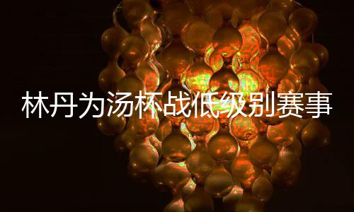 林丹为汤杯战低级别赛事 新西兰赛直落两局过首轮