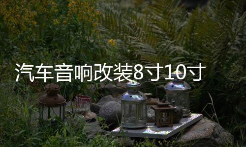 汽车音响改装8寸10寸12寸车载无源低音炮双音圈重低音纯低音喇叭