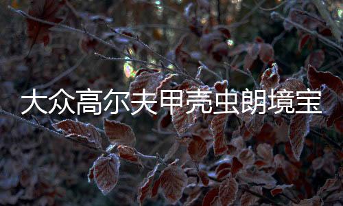 大众高尔夫甲壳虫朗境宝来途安尚酷原装电瓶瓦尔塔60安汽车蓄电池