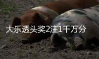 大乐透头奖2注1千万分落2地 奖池余额8.9亿元