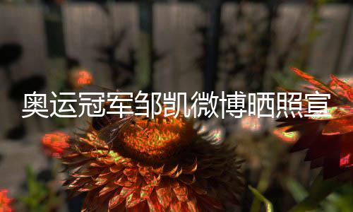 奥运冠军邹凯微博晒照宣布升级当爸 邹凯于2013年11月4日领证结婚