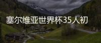 塞尔维亚世界杯35人初选名单:马蒂奇领衔 古德利入选