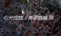 心光绽放，声动鹏城 深圳心光女声合唱团专场音乐会圆满落幕