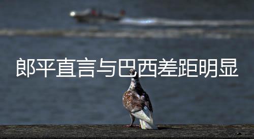 郎平直言与巴西差距明显起伏大:队员表现像过山车