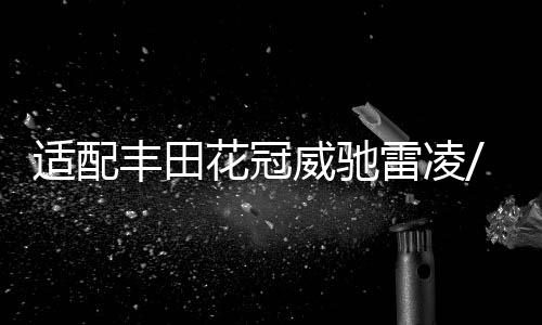 适配丰田花冠威驰雷凌/雅力士/逸致致炫原装电瓶汽车瓦尔塔蓄电池