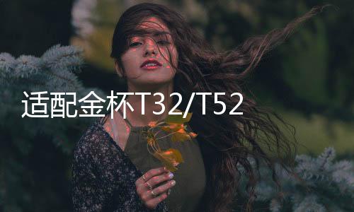 适配金杯T32/T52/750/T20/T30/T50/T22/A7/A9小货车原装汽车电瓶