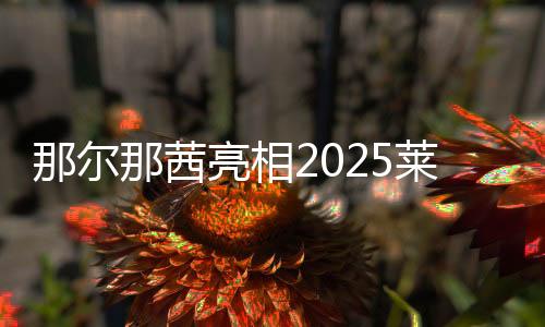 那尔那茜亮相2025莱美盛典阿迪达斯清风专场,领衔百人同练引爆全场