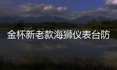 金杯新老款海狮仪表台防晒避光垫汽车中控台内饰改装专用装饰配件