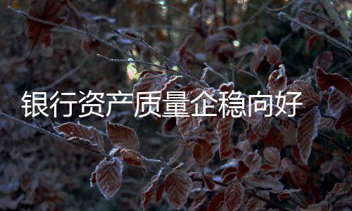 银行资产质量企稳向好 资产质量保持稳定可期