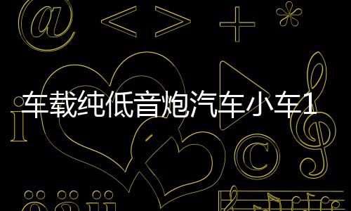 车载纯低音炮汽车小车12V大货车24V超重低音有源蓝牙功放音响改装