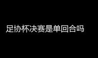 足协杯决赛是单回合吗 足协杯鲁能申花总决赛赛程时间