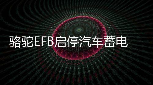 骆驼EFB启停汽车蓄电池12V75AH福特福克斯翼虎锐界蒙迪欧原装电瓶