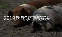 2019乒乓球亚锦赛决赛中国男团视频直播地址 CCTV5体育频道