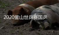2020釜山世乒赛国乒名单解读：王楚钦禁赛期将满入选