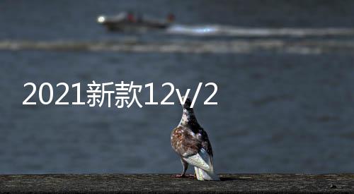 2021新款12v/24v车载带蓝牙无线音响汽车货车重低音炮小型音箱